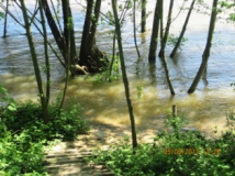 wasserstand